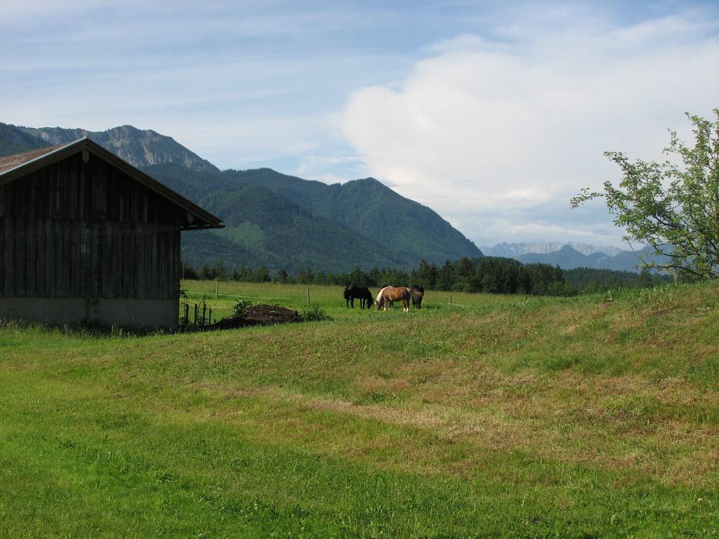 Apartment Beim Bicher